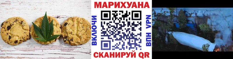 Купить закладки  Александровское  Cannafood конопля 