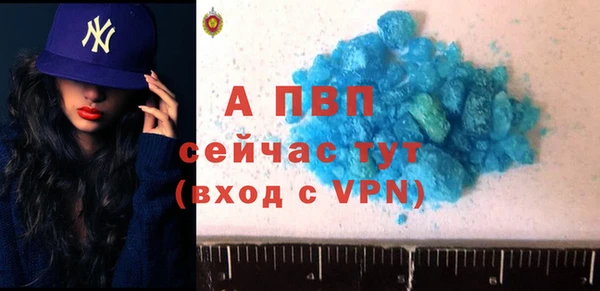 стаф Алексин