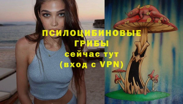 стаф Алексин