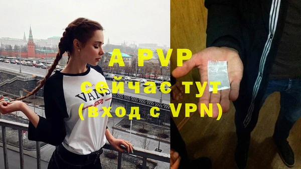 стаф Алексин