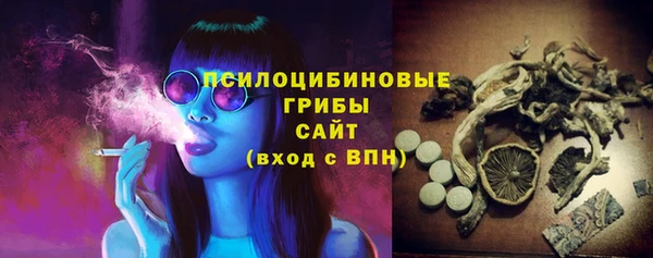 соль курить ск Алзамай
