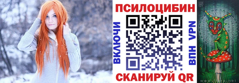 Купить где  Александровское  Галлюциногенные грибы Magic Shrooms 