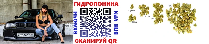 Купить где  Александровское  Бошки марихуана планчик 